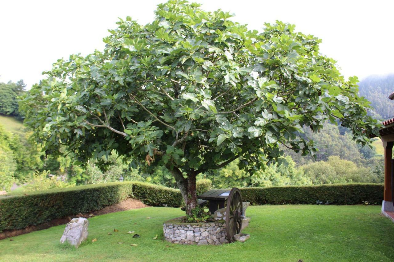 La Quintana Sinariega Konuk evi Dış mekan fotoğraf